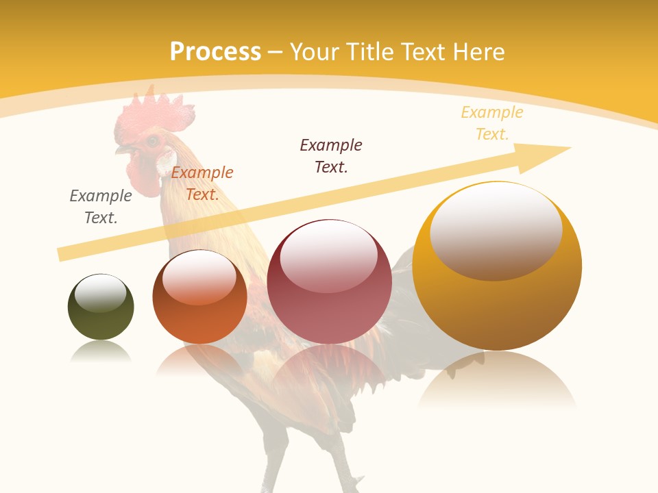 Agriculture Real Chick PowerPoint Template