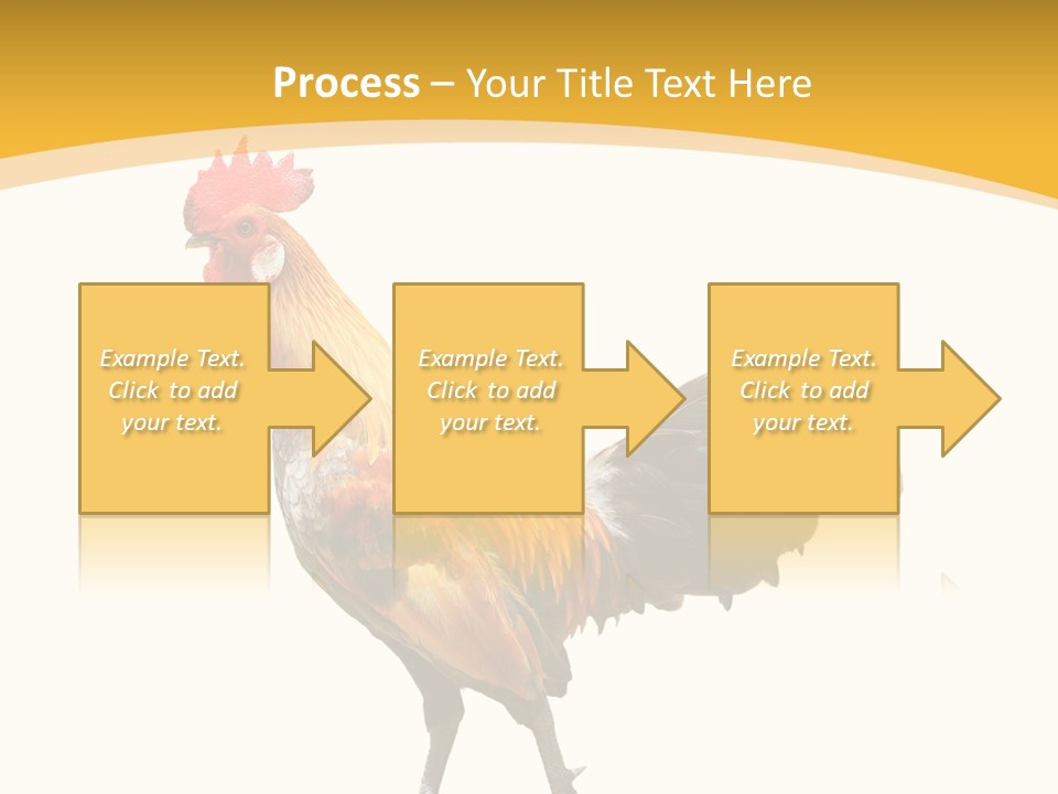 Agriculture Real Chick PowerPoint Template