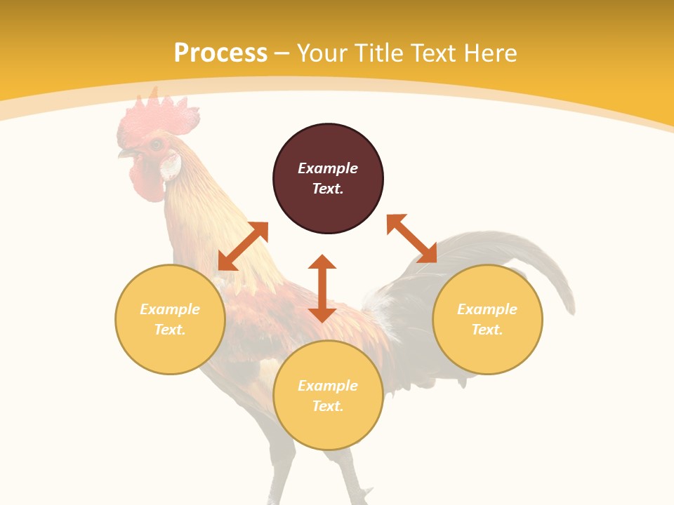 Agriculture Real Chick PowerPoint Template