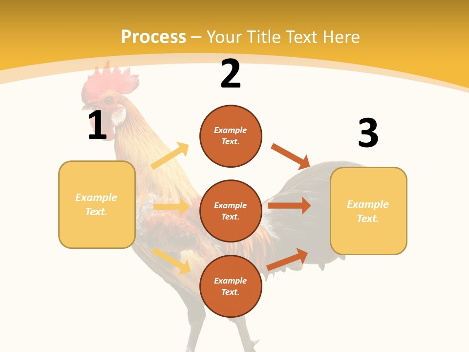 Agriculture Real Chick PowerPoint Template
