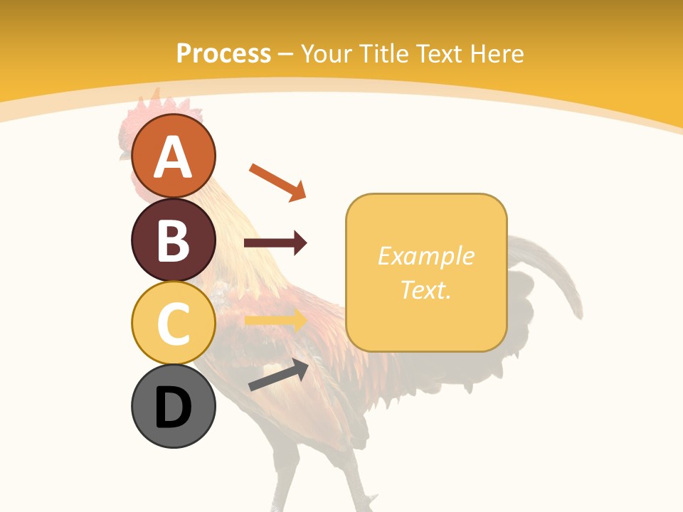 Agriculture Real Chick PowerPoint Template