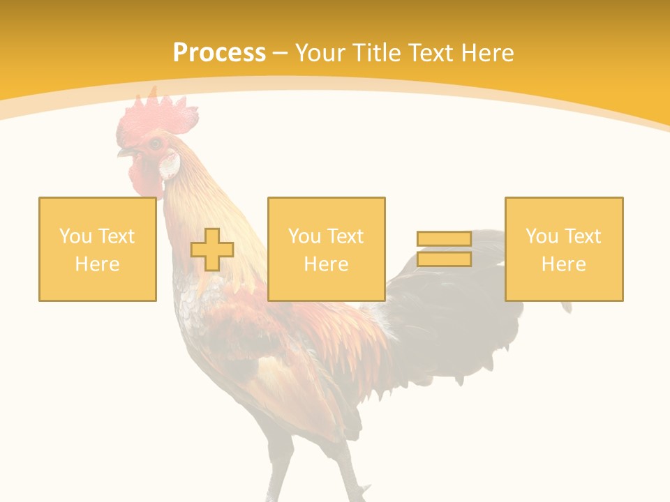 Agriculture Real Chick PowerPoint Template