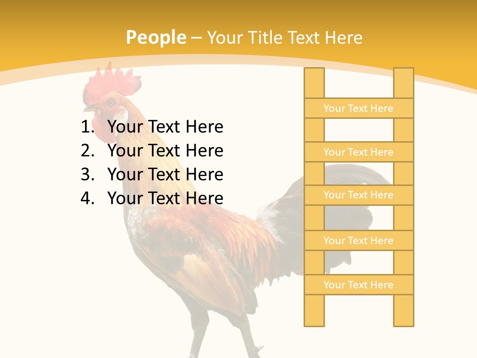 Agriculture Real Chick PowerPoint Template