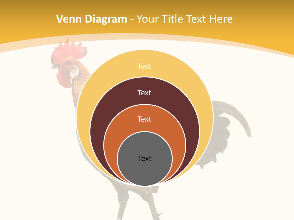 Agriculture Real Chick PowerPoint Template
