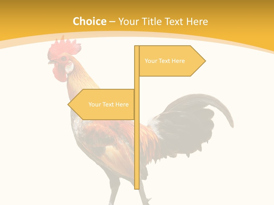 Agriculture Real Chick PowerPoint Template