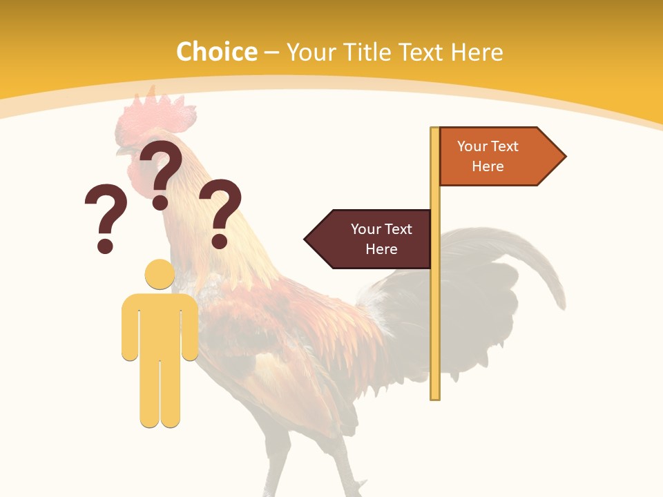 Agriculture Real Chick PowerPoint Template