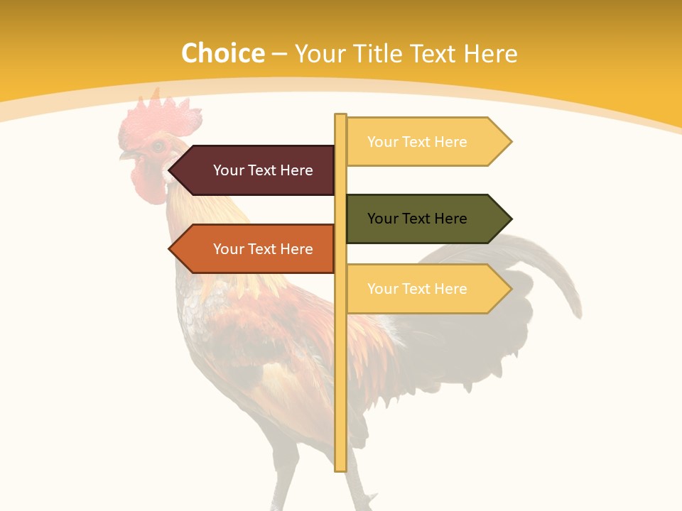 Agriculture Real Chick PowerPoint Template
