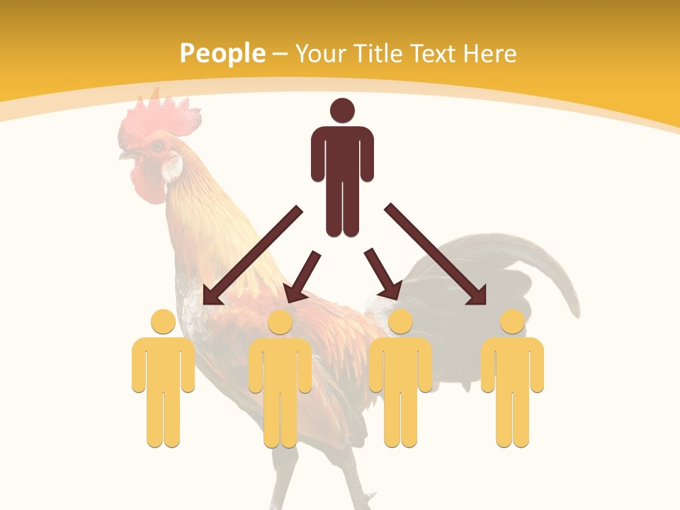 Agriculture Real Chick PowerPoint Template