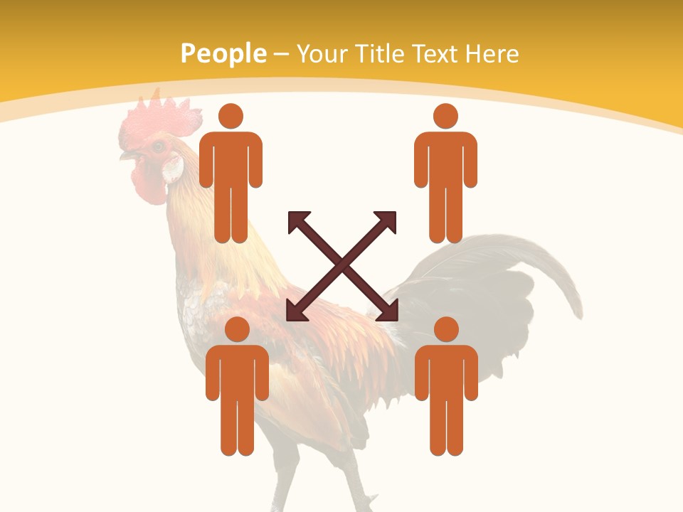 Agriculture Real Chick PowerPoint Template