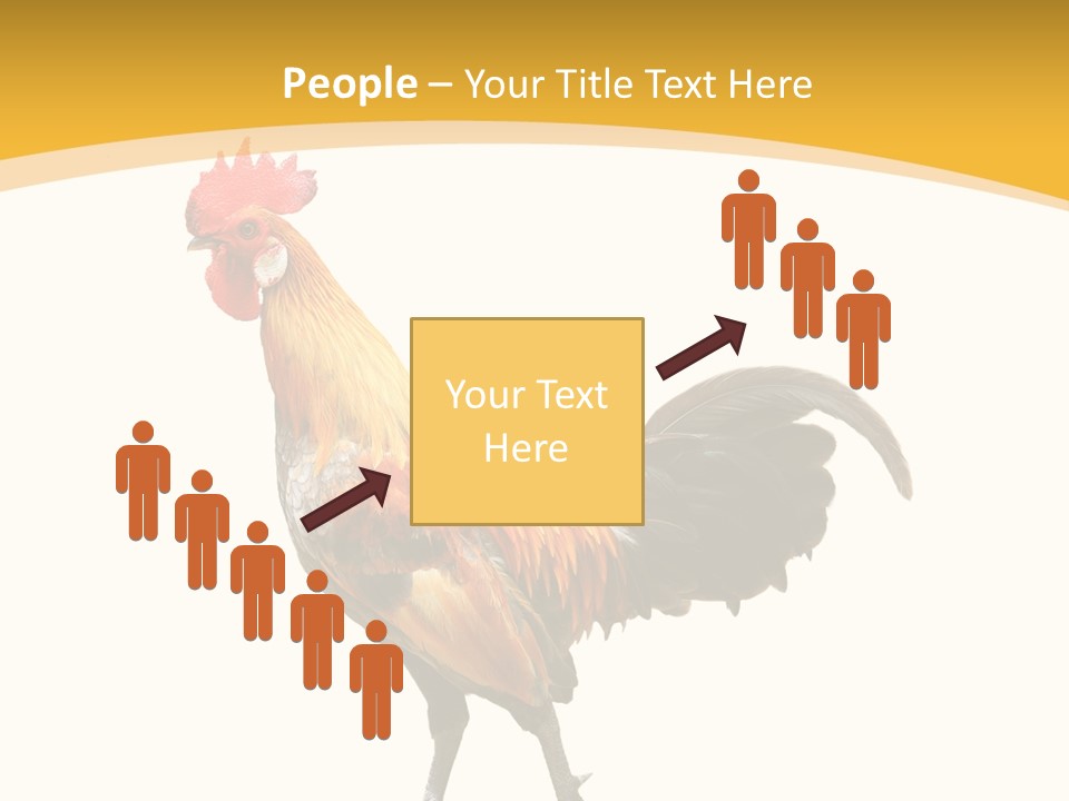 Agriculture Real Chick PowerPoint Template