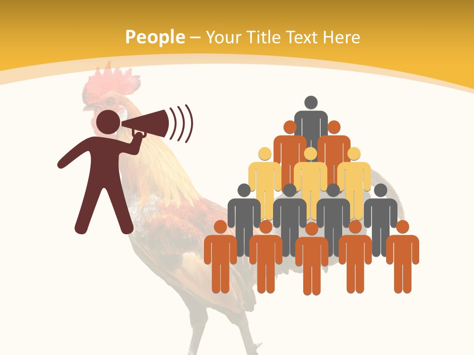 Agriculture Real Chick PowerPoint Template