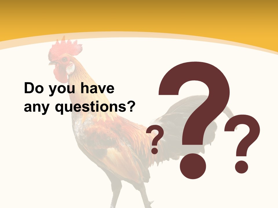 Agriculture Real Chick PowerPoint Template