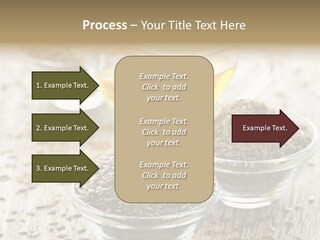 Glass Transparent Wholesome PowerPoint Template