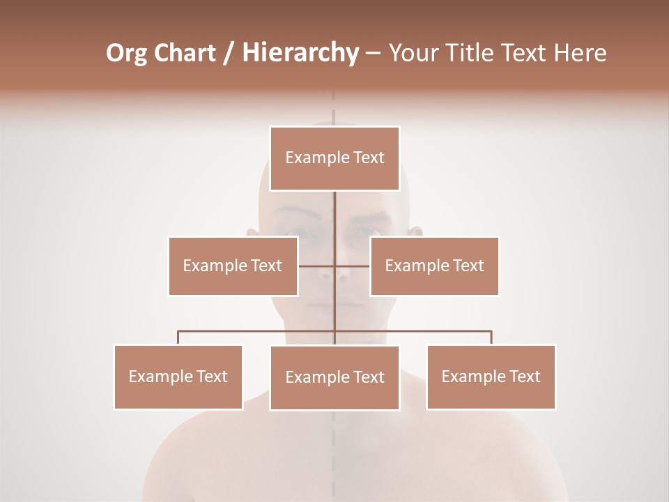 Feminine Abstract Homoual PowerPoint Template