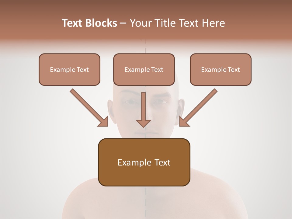 Feminine Abstract Homoual PowerPoint Template