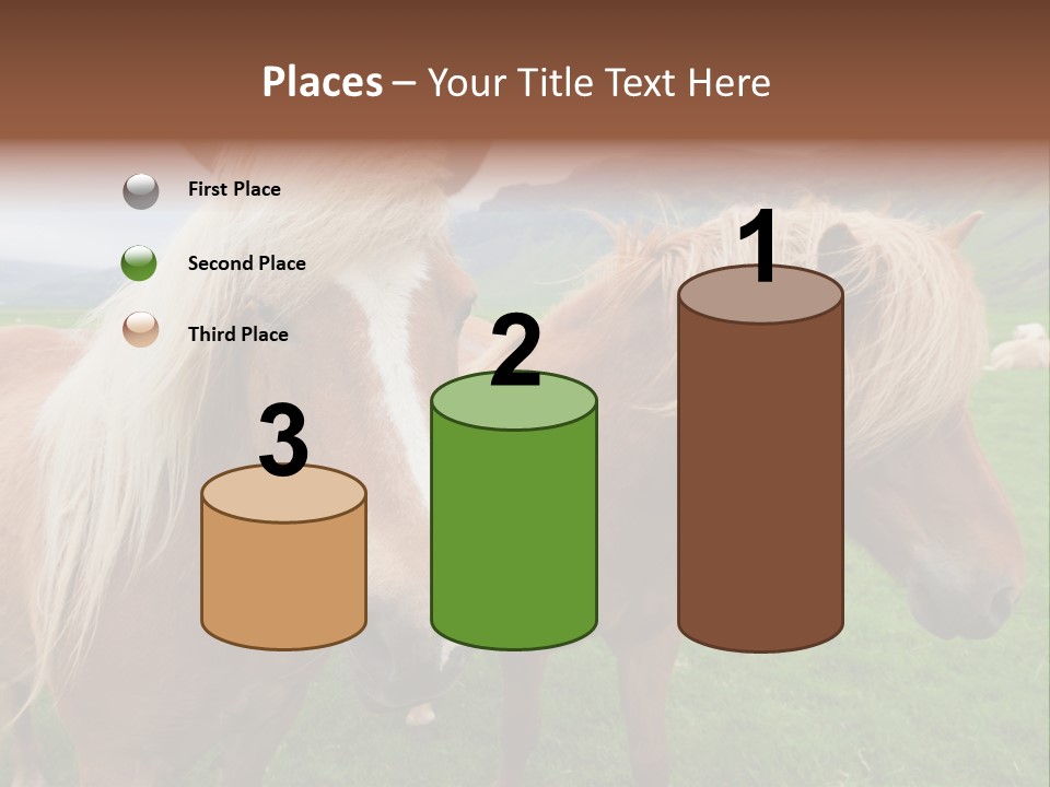 Coat Chestnut Breeding PowerPoint Template