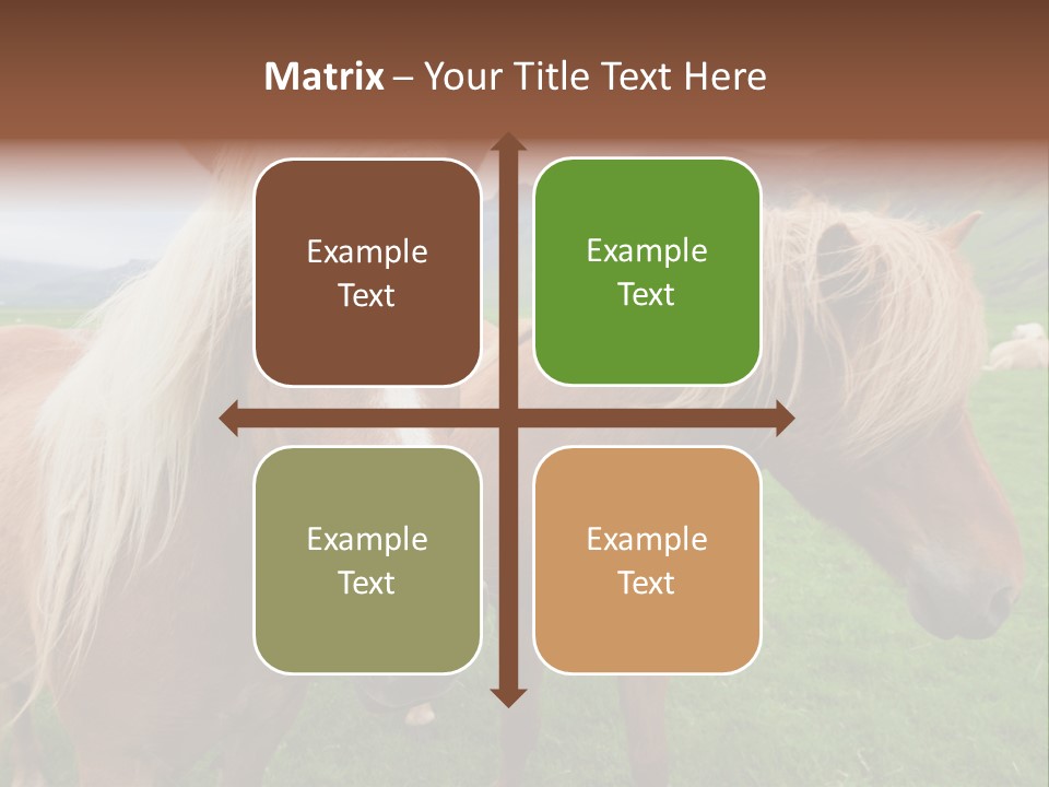 Coat Chestnut Breeding PowerPoint Template