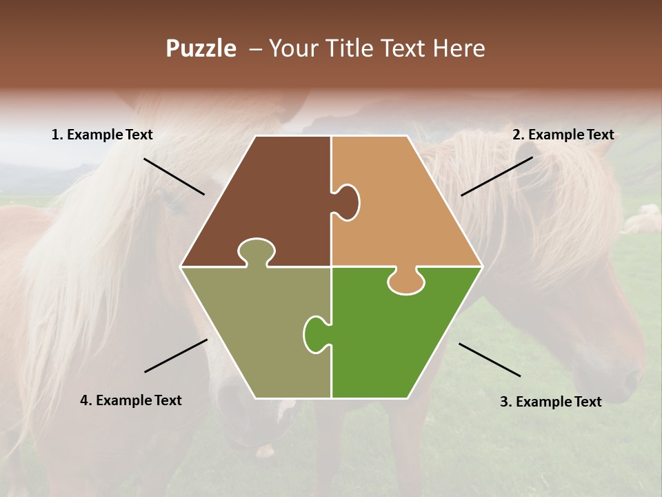 Coat Chestnut Breeding PowerPoint Template