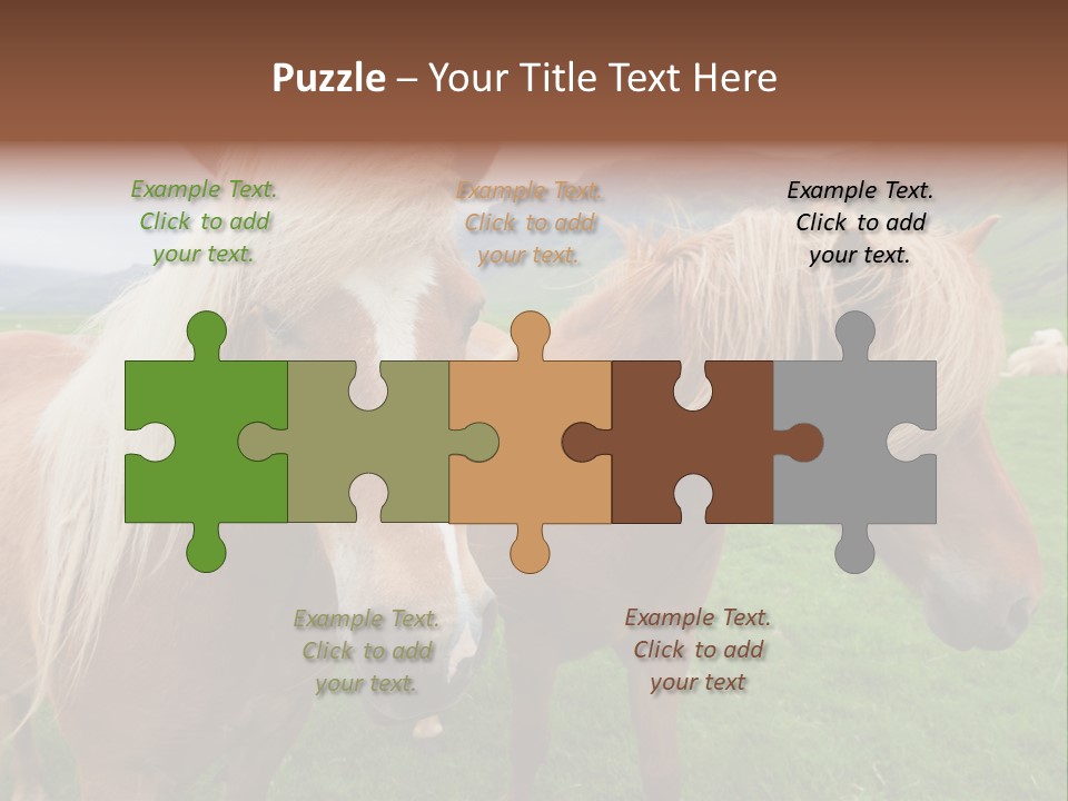 Coat Chestnut Breeding PowerPoint Template