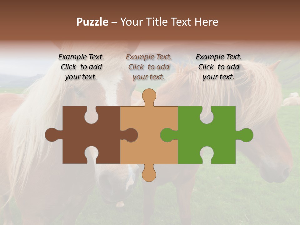 Coat Chestnut Breeding PowerPoint Template