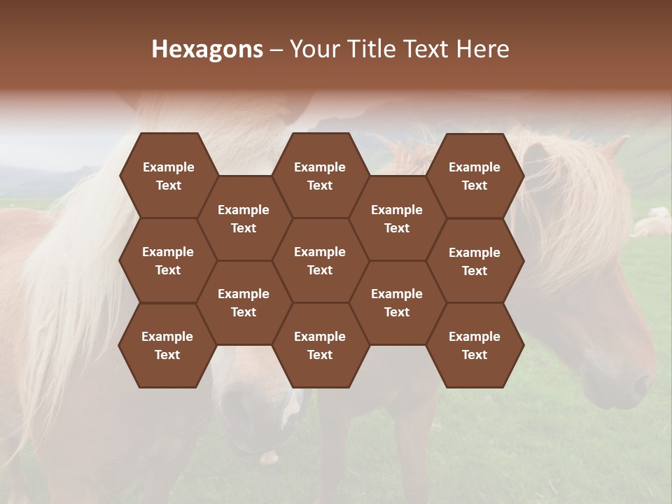 Coat Chestnut Breeding PowerPoint Template