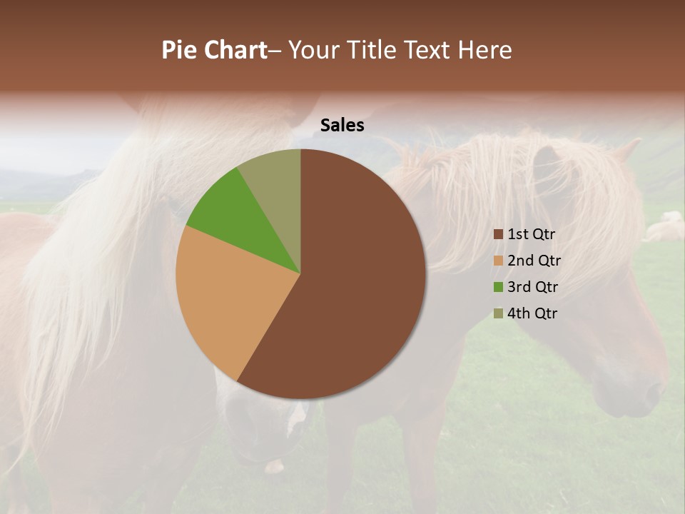 Coat Chestnut Breeding PowerPoint Template