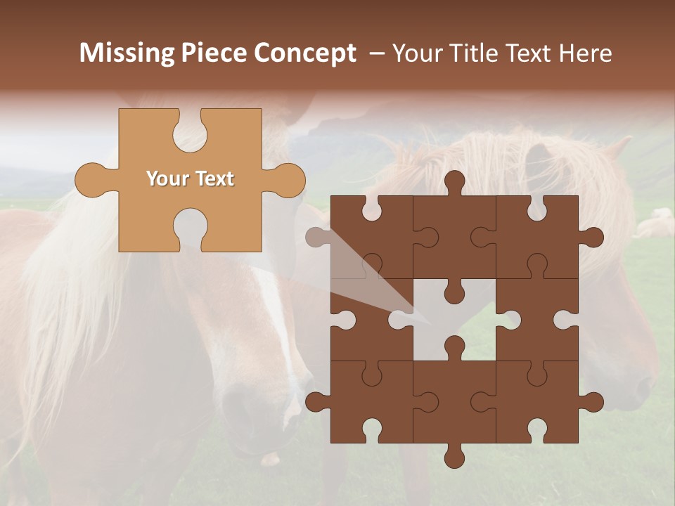 Coat Chestnut Breeding PowerPoint Template