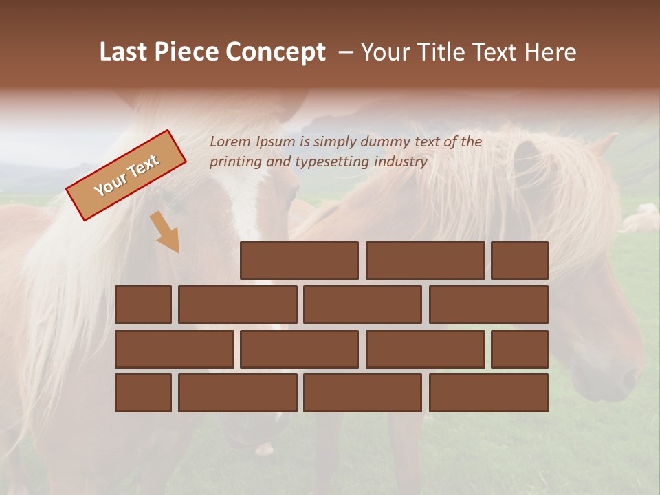 Coat Chestnut Breeding PowerPoint Template