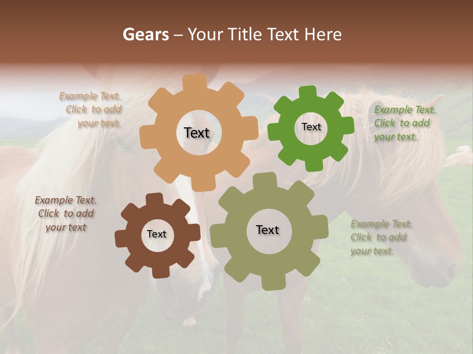 Coat Chestnut Breeding PowerPoint Template