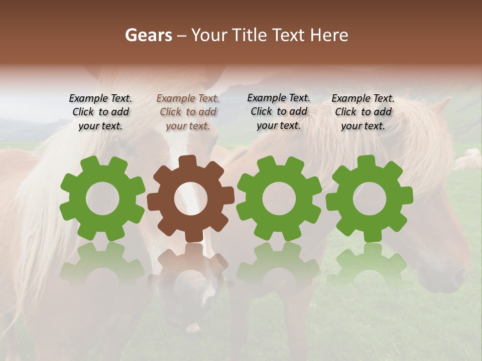 Coat Chestnut Breeding PowerPoint Template