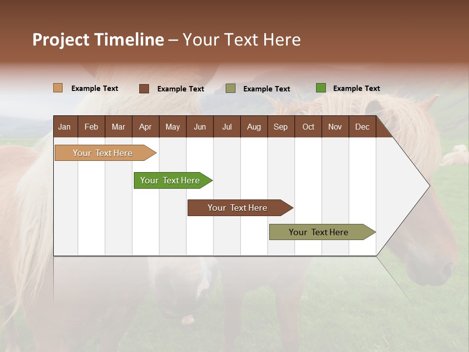 Coat Chestnut Breeding PowerPoint Template