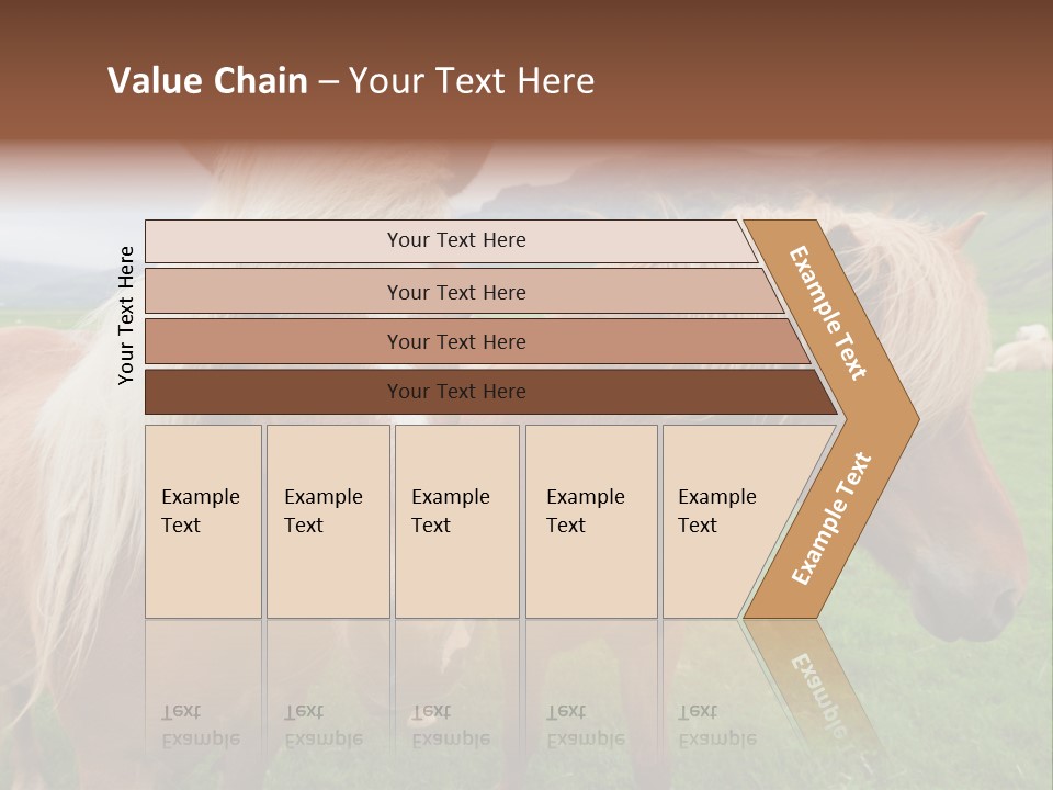 Coat Chestnut Breeding PowerPoint Template