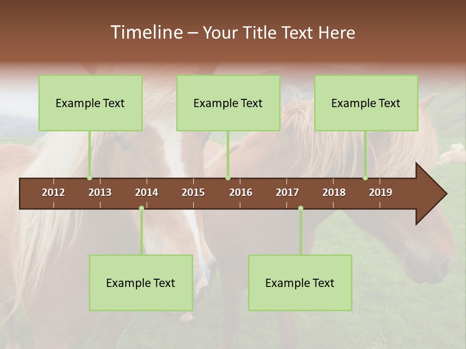 Coat Chestnut Breeding PowerPoint Template