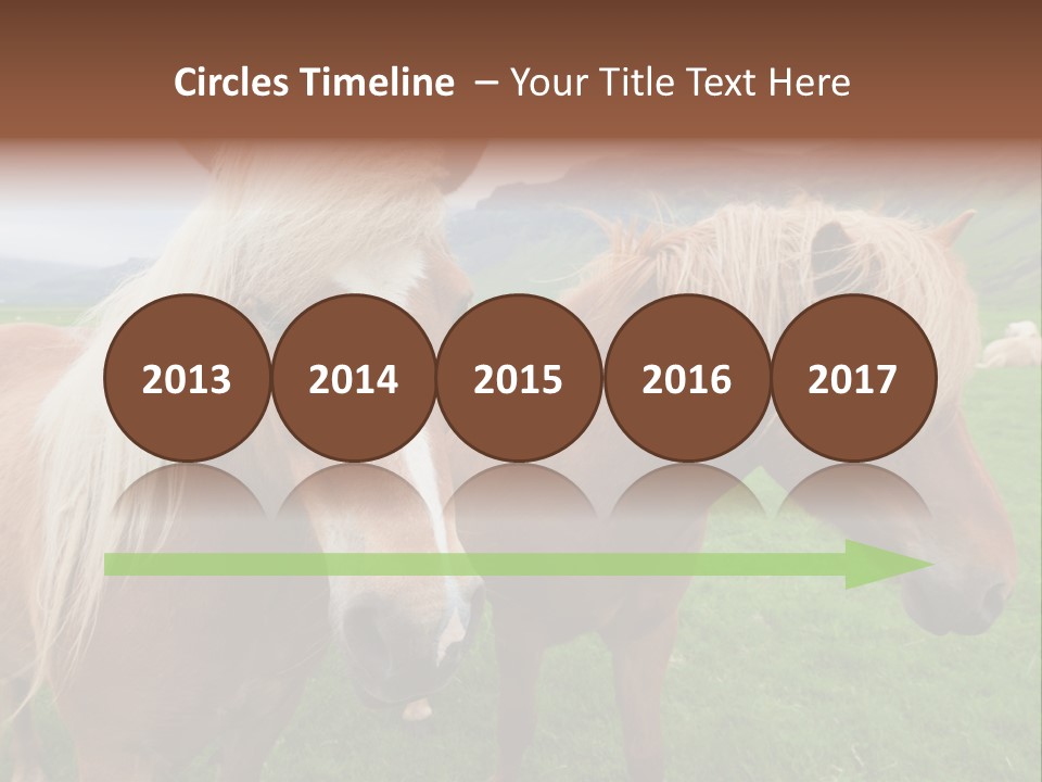 Coat Chestnut Breeding PowerPoint Template