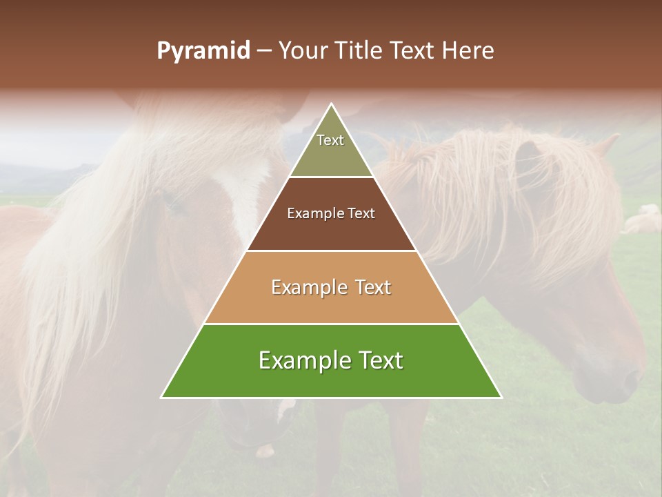 Coat Chestnut Breeding PowerPoint Template