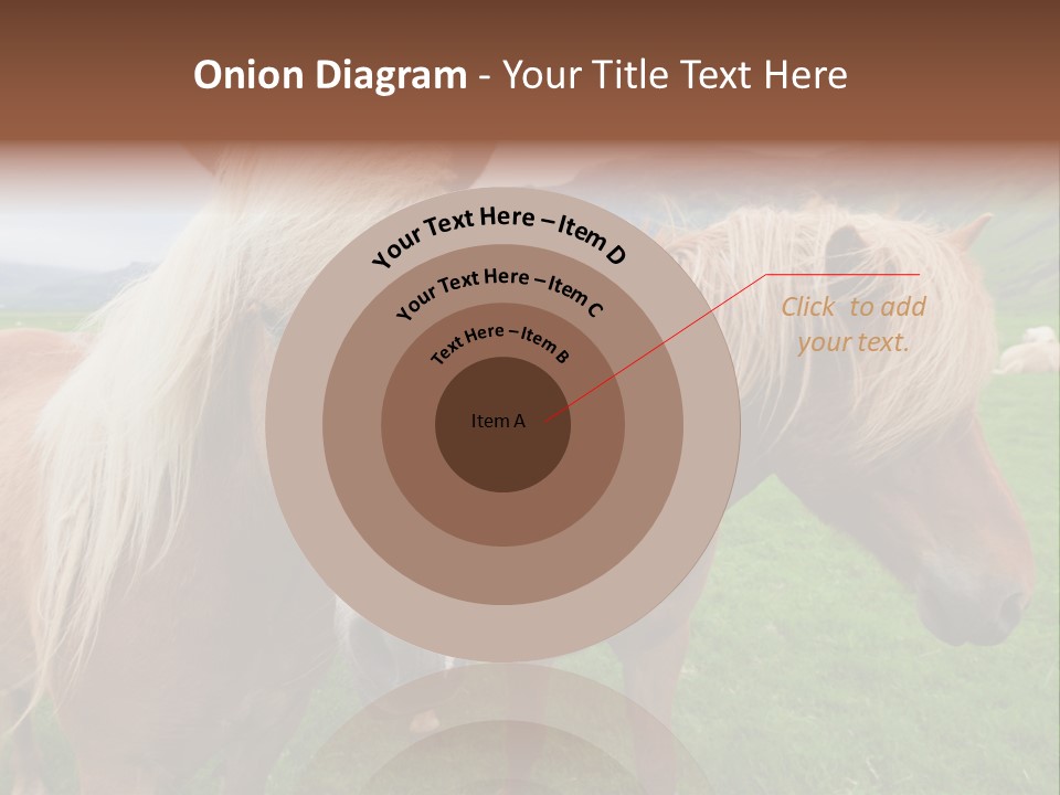 Coat Chestnut Breeding PowerPoint Template