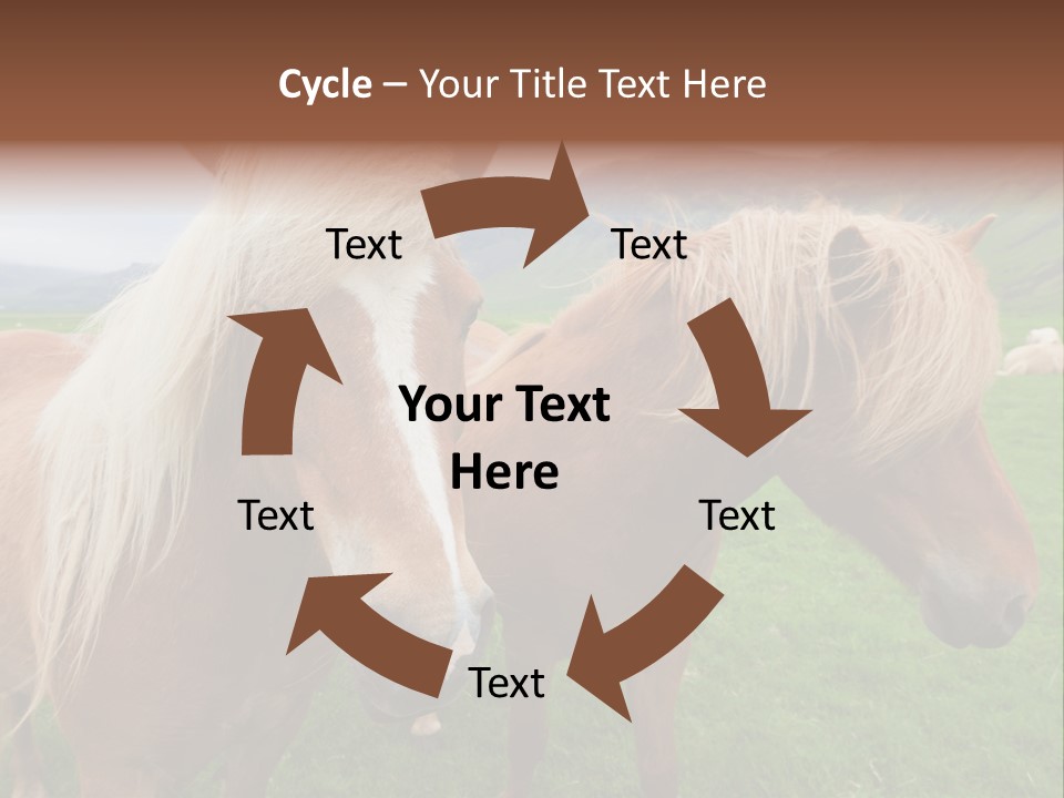 Coat Chestnut Breeding PowerPoint Template