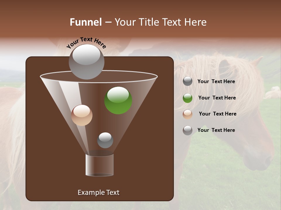 Coat Chestnut Breeding PowerPoint Template