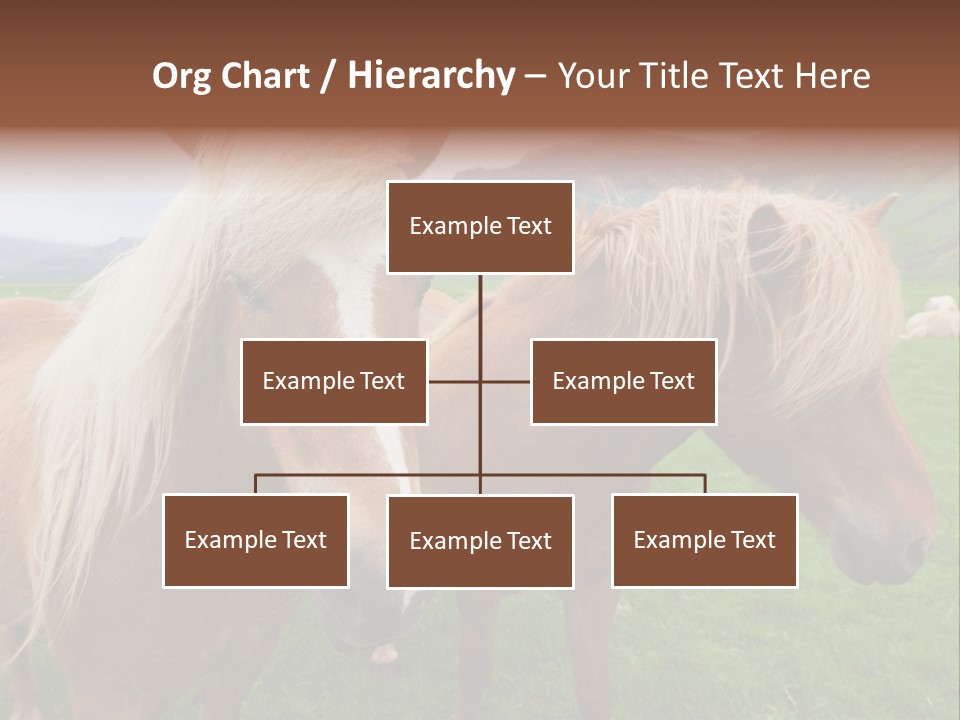 Coat Chestnut Breeding PowerPoint Template