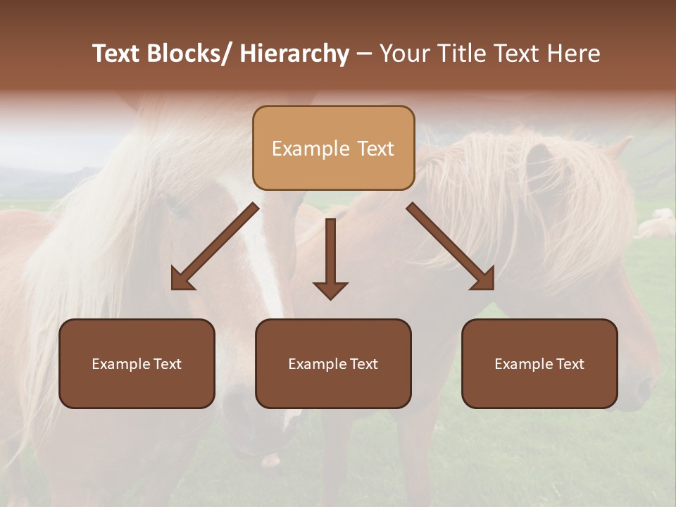 Coat Chestnut Breeding PowerPoint Template