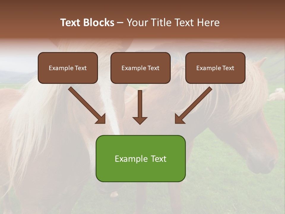 Coat Chestnut Breeding PowerPoint Template