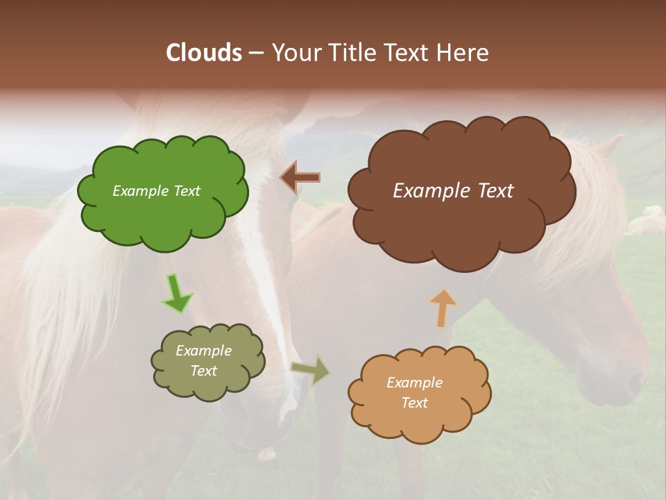 Coat Chestnut Breeding PowerPoint Template