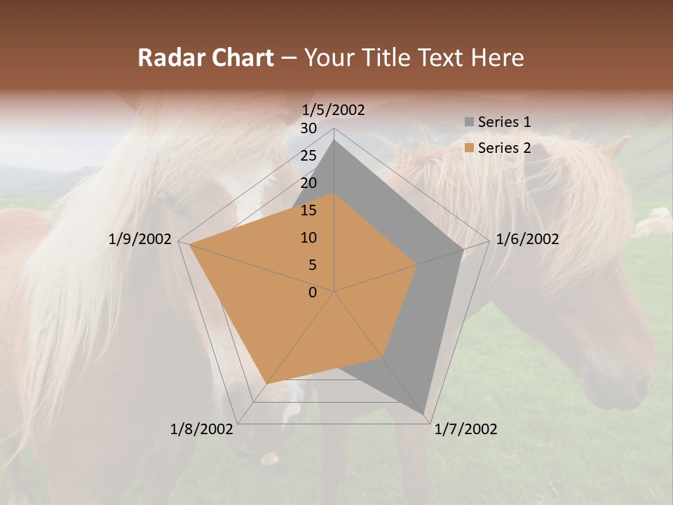 Coat Chestnut Breeding PowerPoint Template
