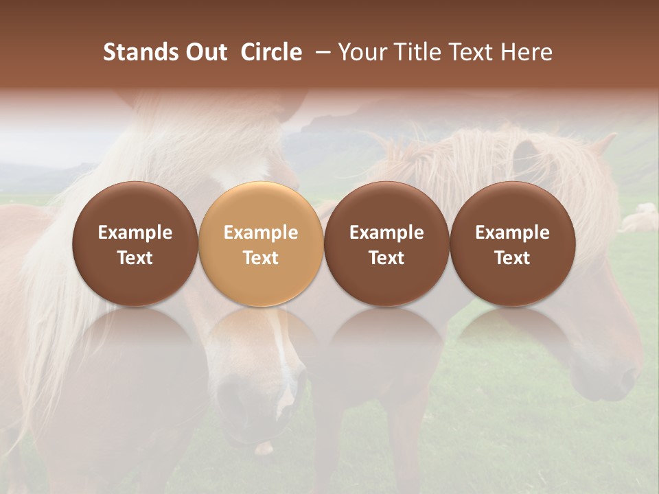 Coat Chestnut Breeding PowerPoint Template