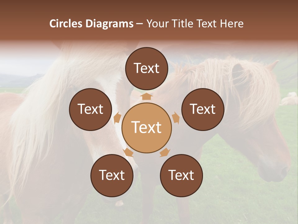 Coat Chestnut Breeding PowerPoint Template