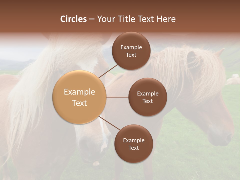 Coat Chestnut Breeding PowerPoint Template