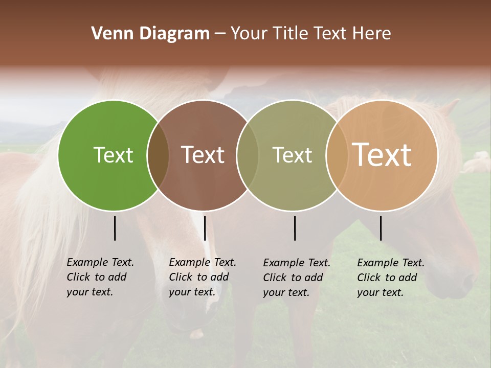 Coat Chestnut Breeding PowerPoint Template