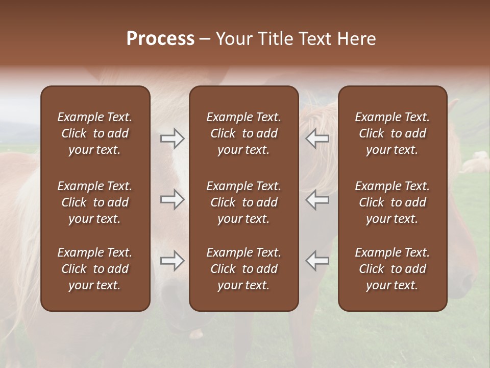 Coat Chestnut Breeding PowerPoint Template