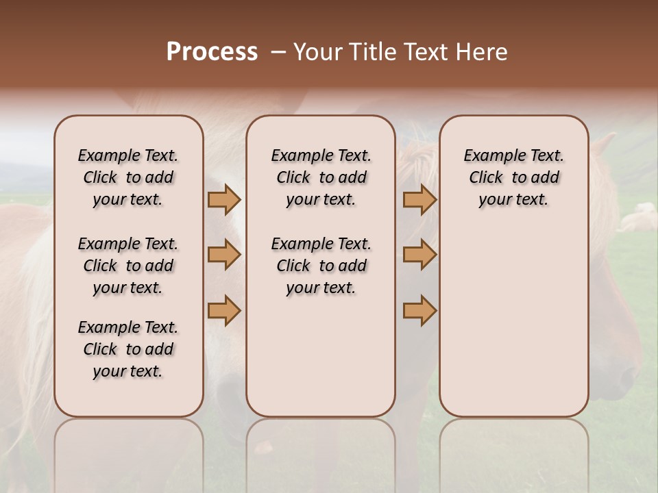 Coat Chestnut Breeding PowerPoint Template