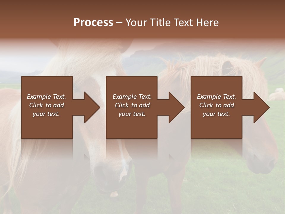 Coat Chestnut Breeding PowerPoint Template
